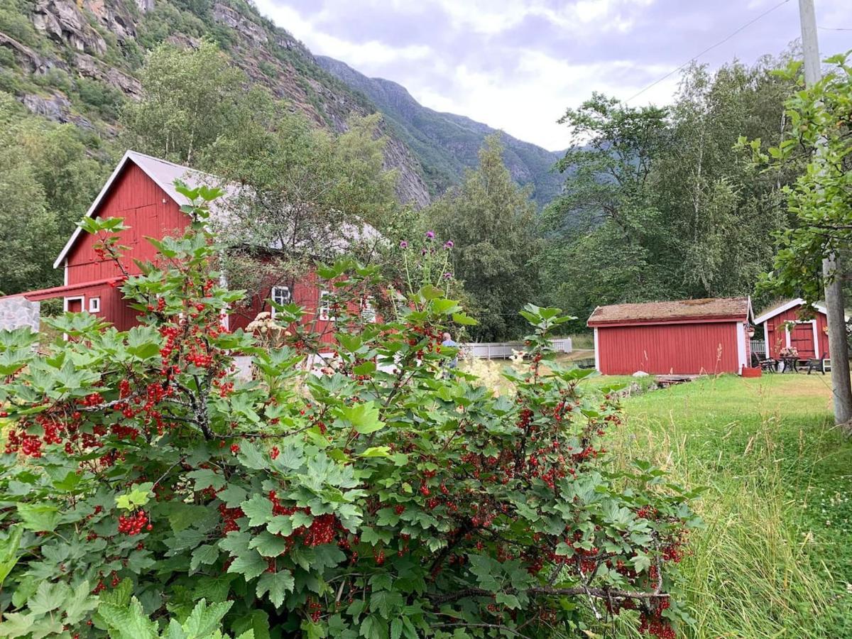 Aobrio Holidayhouse, Authentic Norwegian Farmhouse Close To Flam Lærdalsøyri Esterno foto