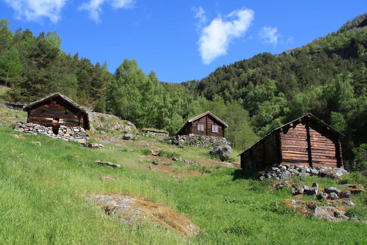Aobrio Holidayhouse, Authentic Norwegian Farmhouse Close To Flam Lærdalsøyri Esterno foto
