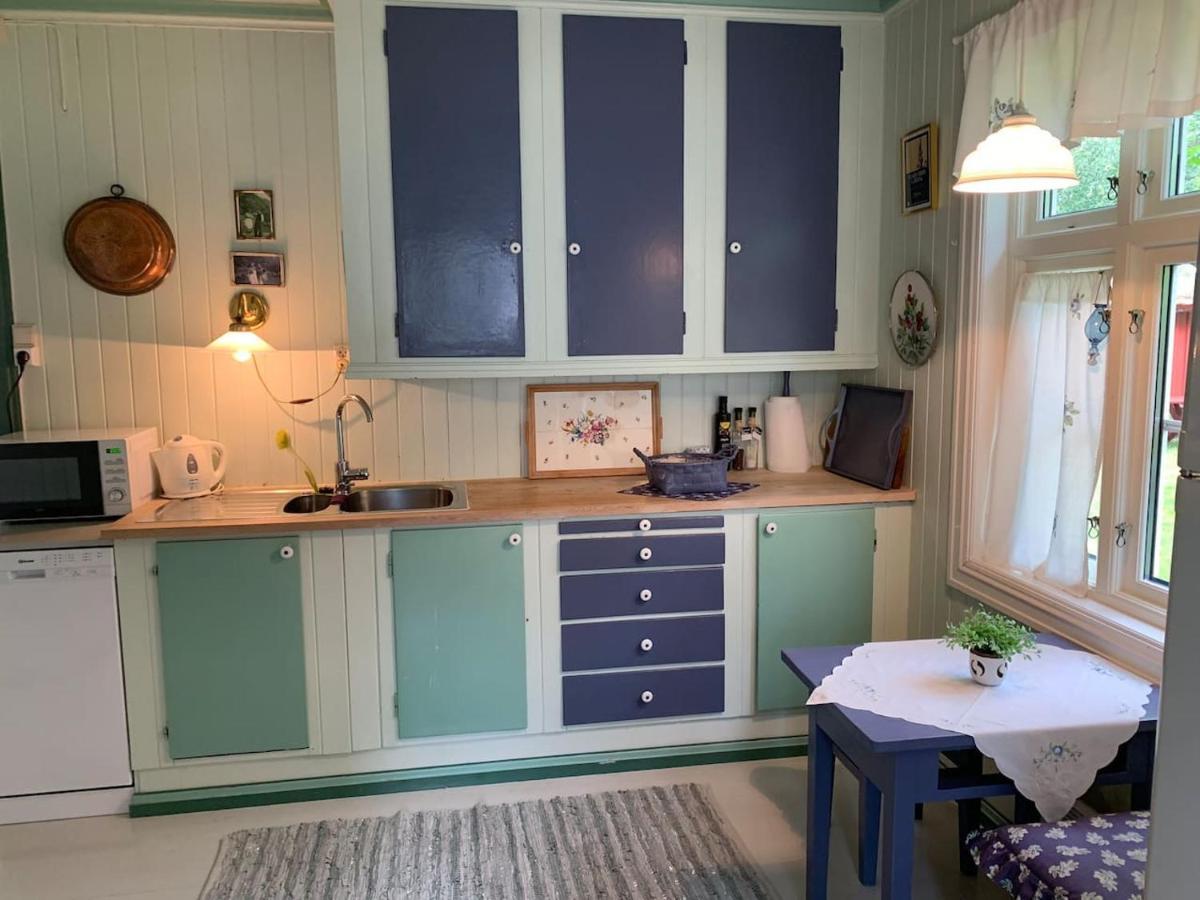 Aobrio Holidayhouse, Authentic Norwegian Farmhouse Close To Flam Lærdalsøyri Esterno foto